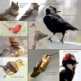 Margot gets an unexpected visit (Written by Lieve Snellings)