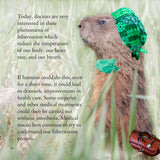 Groundhog Secrets, Everything You Always Wanted To Know About Woodchucks (Written by Lieve Snellings)