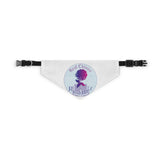 Pet Bandana Collar
