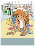 Bad Dog? (written by Tracy Blom; Illustrated by Kevin Coffey)